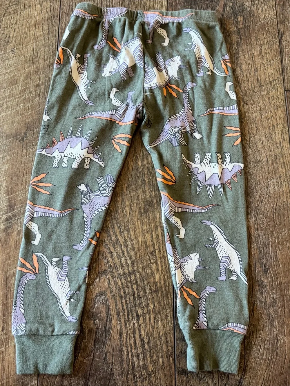 Toddler Boy Dinosaur Pajama Set
